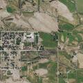 Loose cattle reported near Cougar Lane