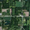 Tree on fire near Route 31 in Orleans County