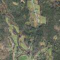 Juveniles reported lying in roadway on island