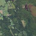 67-year-old man falls near Wright Road in Red Creek