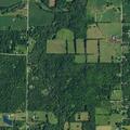 Car and deer collision on Johnson Creek Road