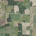 Person suffers allergic reaction to bee sting in Bailey