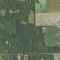 Vehicle hits tree on 21 Mile Road in Sand Lake