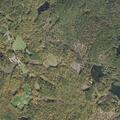 Person reported sick at Evans Mountain Road