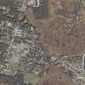 81-year-old woman with stomach pain on Main Road