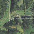 Neighbor’s cattle loose in yard on County Highway F