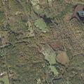 False alarm for possible fall near Scales Road, Canterbury
