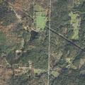 Elderly woman falls and hits head in Chester