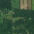 Ongoing dispute over loose cows on property