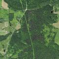 Woman dizzy with headache and breathing trouble near Steuben Road