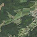 Report of loose cow on County Highway Q