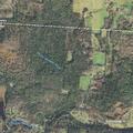 Deputies locate naked pedestrian on Route 10