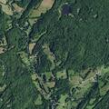 Loose horse in hay field and roadway