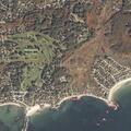 Dog reported off leash at Mothers Beach