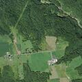 Animal complaint on Quaker Hill Road