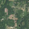 81-year-old female having seizures in Tuscola County