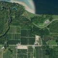 83-year-old female fell and is confused at fruit farm