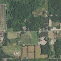 91-year-old woman sick near Maier Road