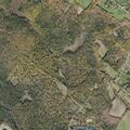 Woman dizzy with heart condition at Lower Ridge Road