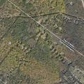 Suspicious phone call from woods behind home