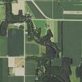 Elderly man hit by tree branch, semi-conscious in Cedar Rapids