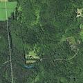 79-year-old female with allergies at Buck Hill Road