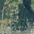 Medical call dispatched near Grant Street in Sutherlin
