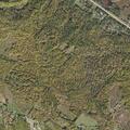 60-year-old male found deceased near New Durham