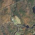 Loose cows reported on Mountain Road