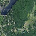 Tree on fire near shoreline in West Fort Ann