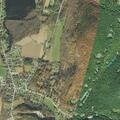 80-year-old man falls and injures head in Vermont