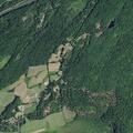 Animal abuse complaint on Clay Hill Road