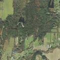 31-year-old woman treated for bee sting at horse farm