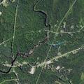 Downed power lines and sparking wire in Forestport