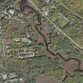 Female seeks spare oxygen tank near osprey road in alton