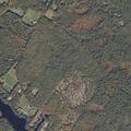 Juvenile riding dirt bike recklessly on Curry Road