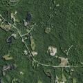 Man injured in fall from tree with breathing issues