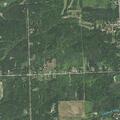 Verbal family dispute at Custer Road residence