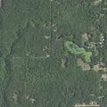 Traffic stop on vehicle near 52nd street in Newaygo