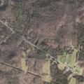 Elderly woman experiencing back pain in Mount Holly