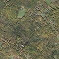 Unresponsive woman found ill near Bean Hill Road in Belmont