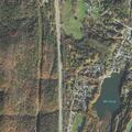 58-year-old male reported dizziness while walking dog