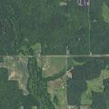 Mobile crash alert with no accident found