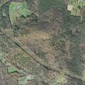 Elderly woman falls and injures shoulder near Shunpike Rd