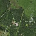 Car hits deer on County Route 22 in Albion