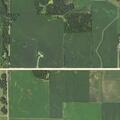Suspicious man with gas can near shed on 510th Street