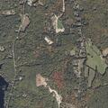 Domestic assault reported at Shapleigh residence