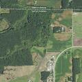 Loose horse reported at rural property