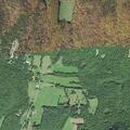 89-year-old woman with foot pain after fall in Poultney