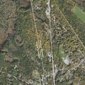 86-year-old male fell and injured back and elbow